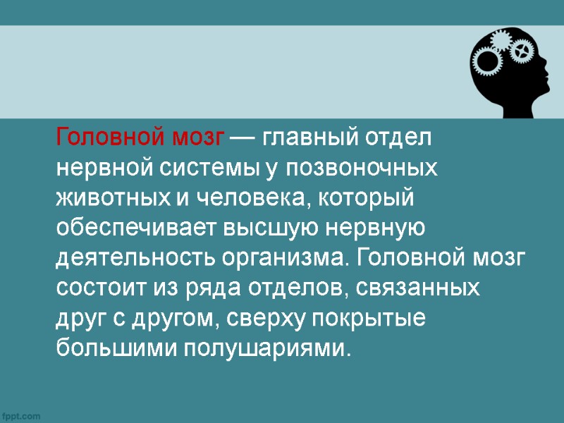 Головной мозг — главный отдел нервной системы у позвоночных животных и человека, который обеспечивает